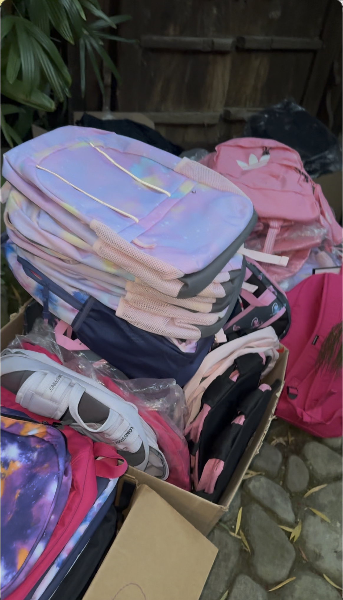 backpacks02
